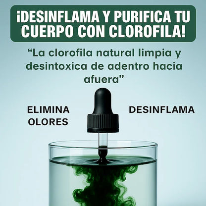 CLOROFILA™ El secreto natural para un abdomen plano en 2 semanas